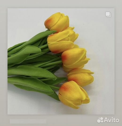 Тюльпаны силикон