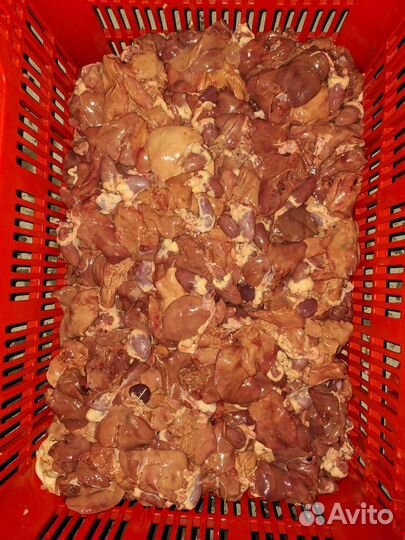 Куры бройлеры тушки мясо