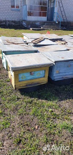 Продаются улья