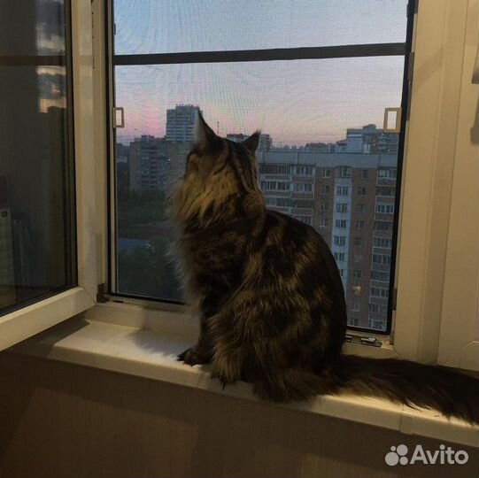 Москитные сетки