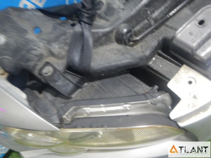 Nose cut nissan stagea