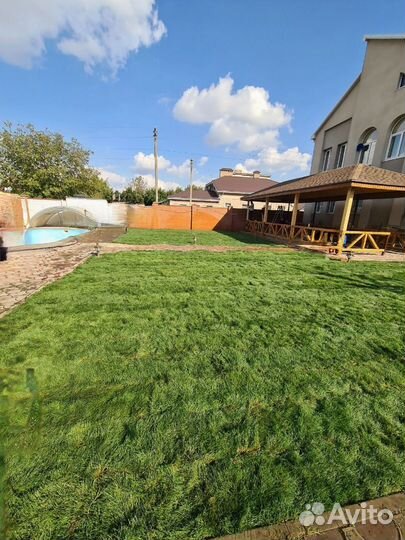 Рулонный газон Универсальный / укладка