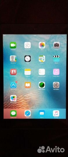 iPad mini