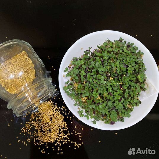 Смузи марафон