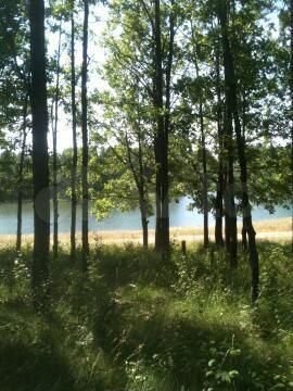 Участок 8 га (СНТ, ДНП)