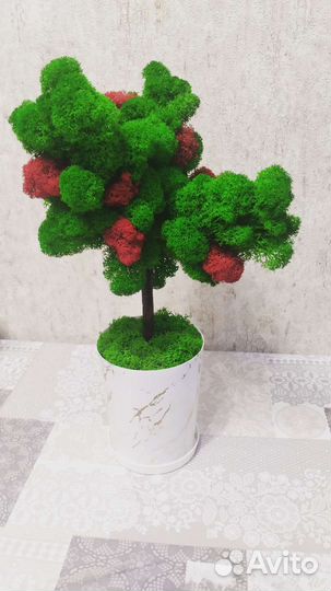 Дерево из стабилизированного мха