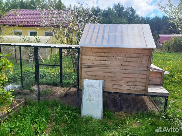 Домик для куриц с выгулом