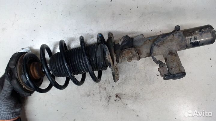 Амортизатор подвески Volkswagen Passat CC, 2009