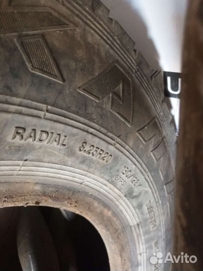 Резина автобус паз