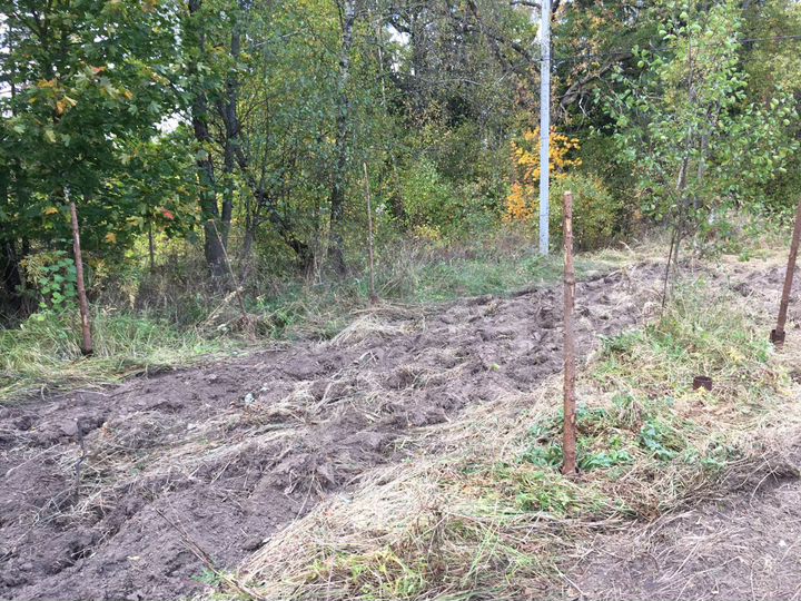 Участок 6 сот. (СНТ, ДНП)