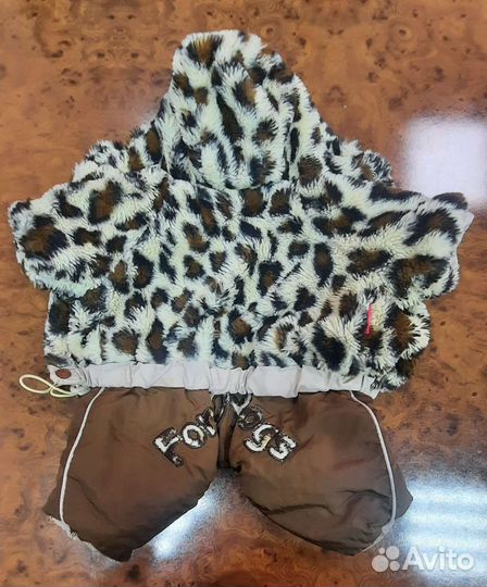 Одежда для собак