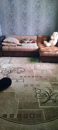 Дом 45 м² на участке 6 сот.