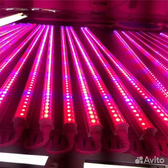 Фито светильник 9W и 18W (5R+1B) Фито лента лампа