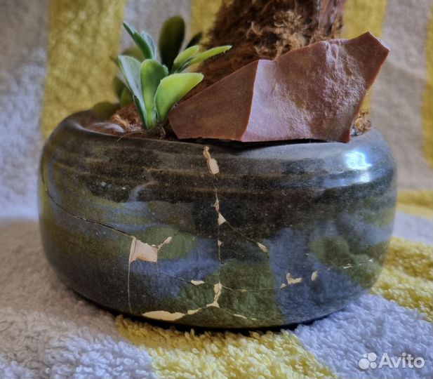 Декоративное искусственное дерево сосна бонсай