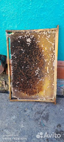 Рамки сушь- дадан