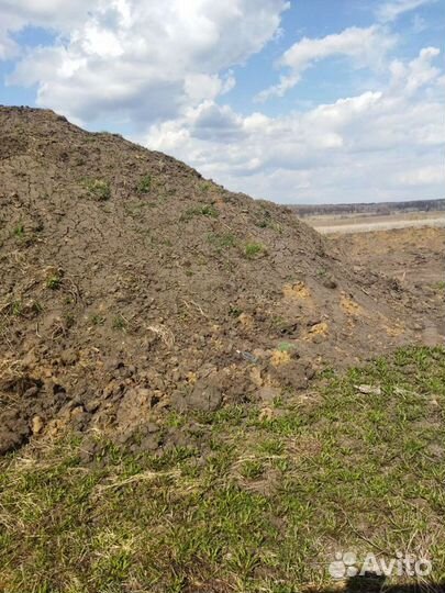 Продажа чернозем