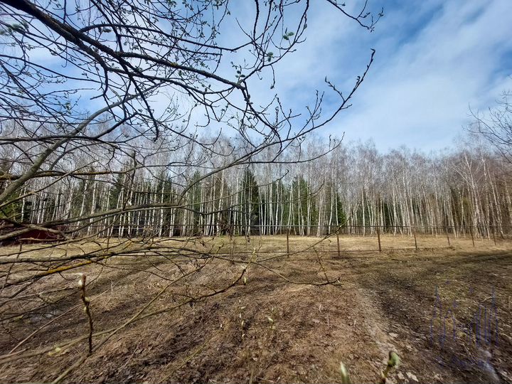 Участок 5 сот. (ИЖС)