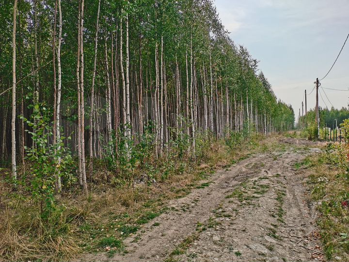 Участок 60 сот. (СНТ, ДНП)