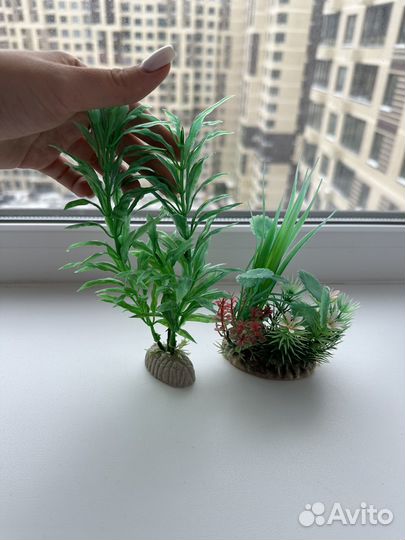 Аквариум и декор