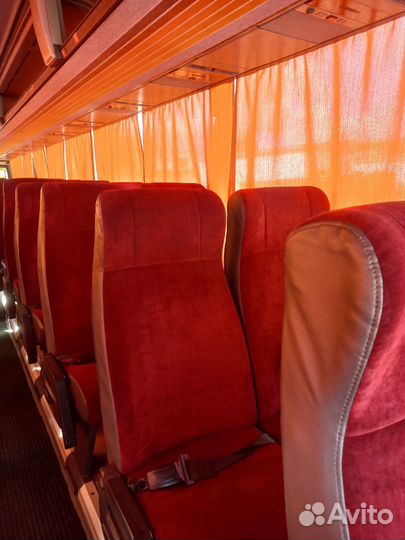 Аренда, заказ автобуса, перевозка пассажиров