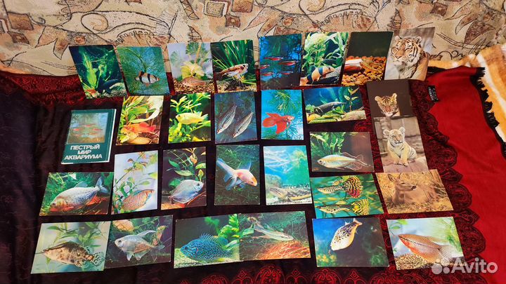 Советские открытки и не только (все чистые)