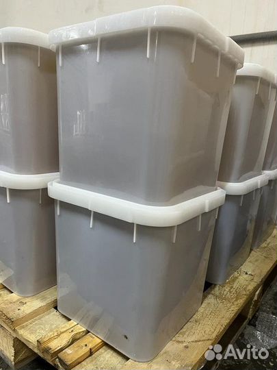 Гречишный мед свежий