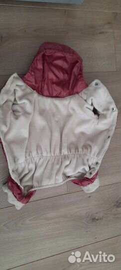 Одежда, шлейка, лоток для собак мелких пород