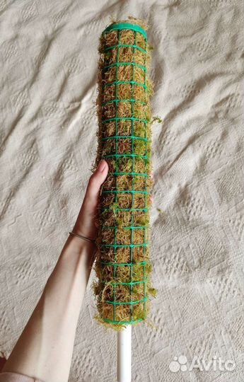 Тотем (опора) для растений