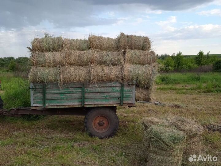 Продаётся сено в рулонах покос 2023 18-20кг