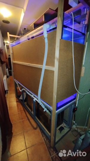 Аквариумы панорамные на 1000 литров