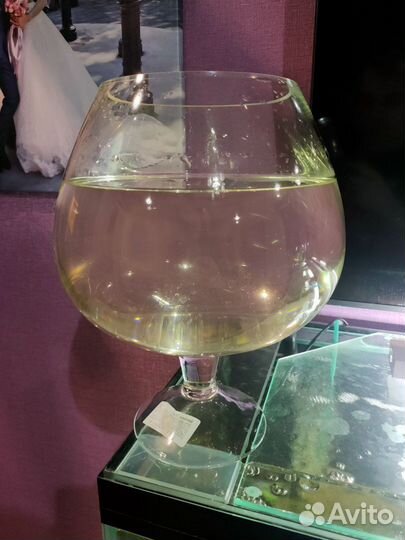 Аквариум бокал
