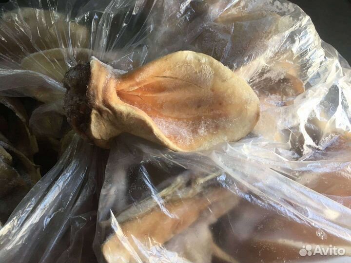 Мясо для собак