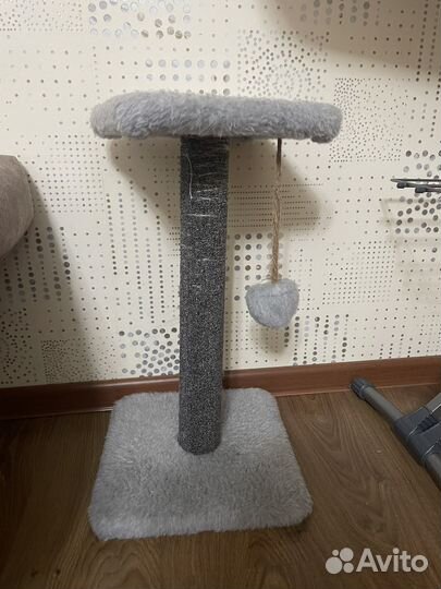 Когтеточка