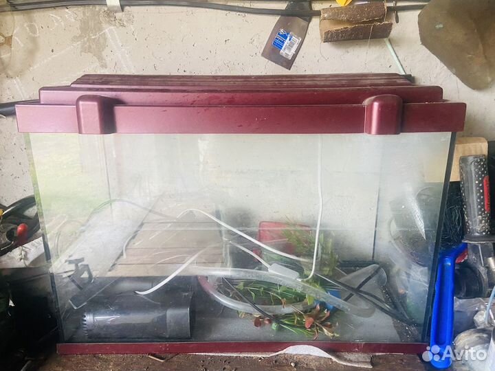 Аквариум