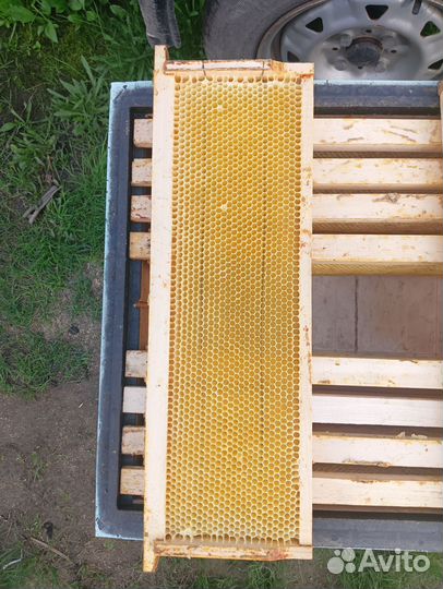 Рамки с сушью