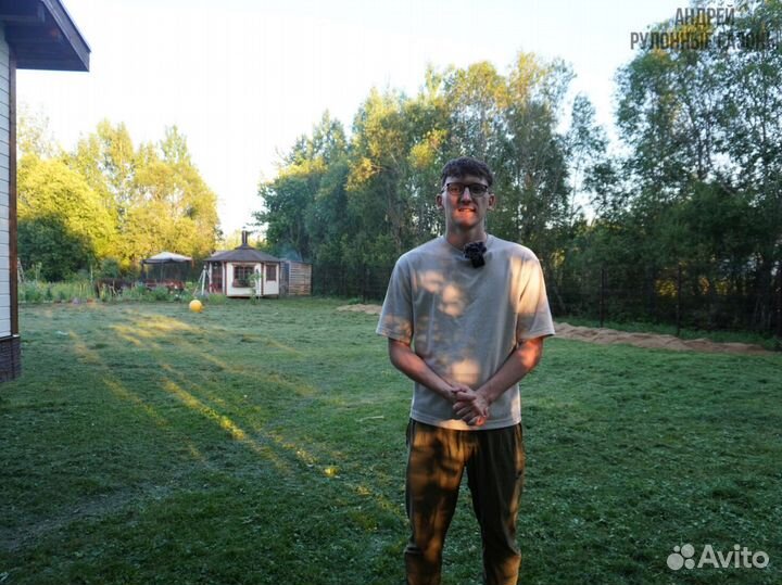 Газон премиум