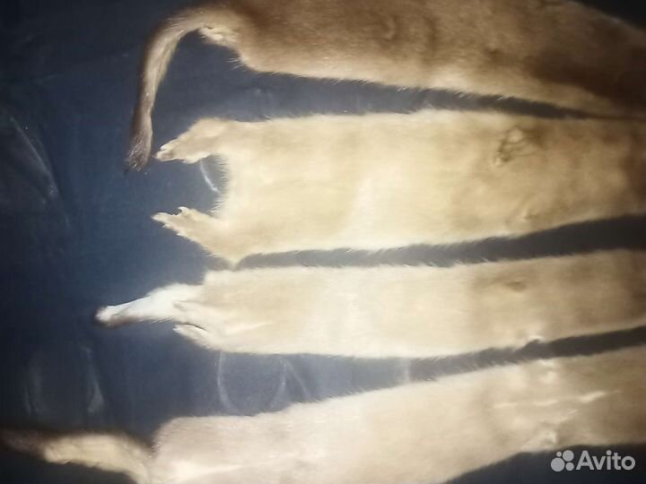 Набор для шапки - Шкуры норки