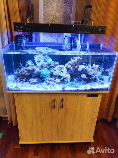 Морской аквариум на 150 литров