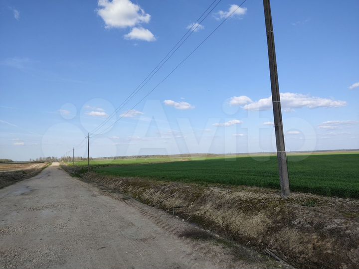 Участок 1,98 га (СНТ, ДНП)