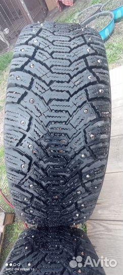 Cordiant Polar 195/65 R15