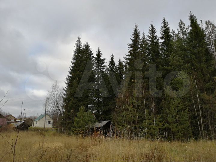 Участок 10 сот. (СНТ, ДНП)