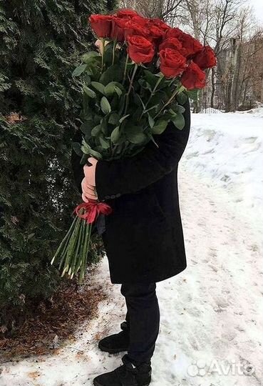 Розы гиганты 140 150 160 170 180 200