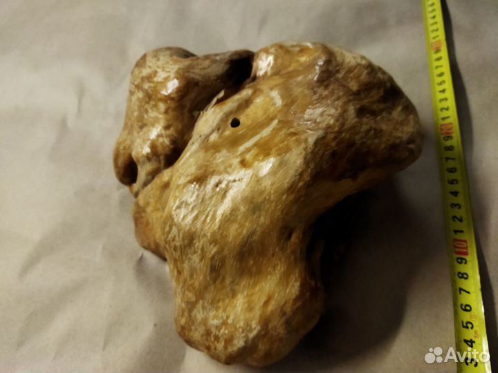 Березовый кап в интерьер