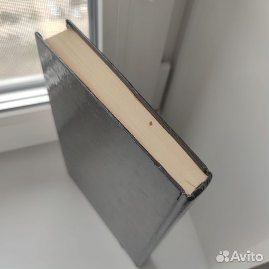 Кошки, коты, котята 1993 год