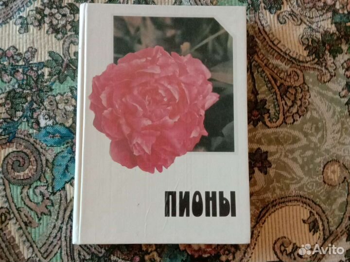 Книги для дачника