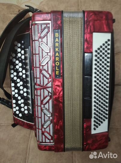 Баян Баркаролло Италия, профессиональный