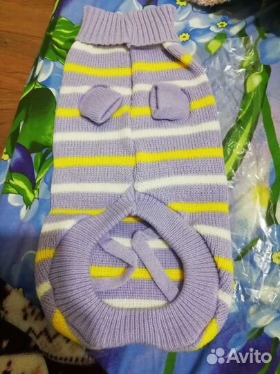 Одежда для кошек и собак