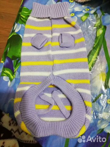 Одежда для кошек и собак