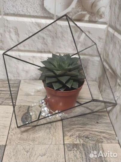 Формы для флорариума