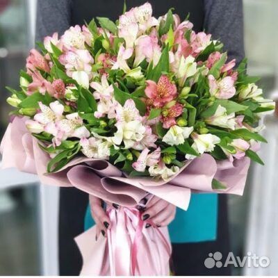 Альстромерия